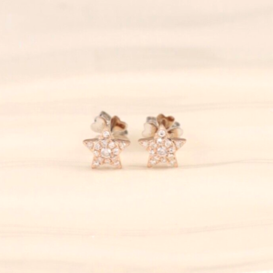 .168 CTW Diamond Earrings 14k Twotone Gold JS140E-RG