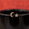 .04 CTW Diamond Moon & Star Earrings 18k Twotone Gold E809-2