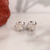 .28 CTW Diamond Rositas Earrings 14k White Gold E902-1