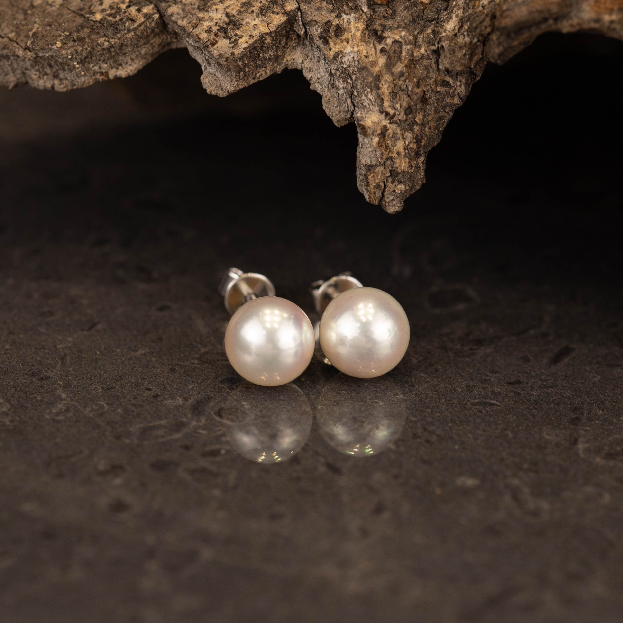 8.8mm South Sea Pearl Earrings 14k White Gold E950
