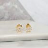 .168 CTW Diamond Rositas Earrings 18K Yellow Gold E0120-YG