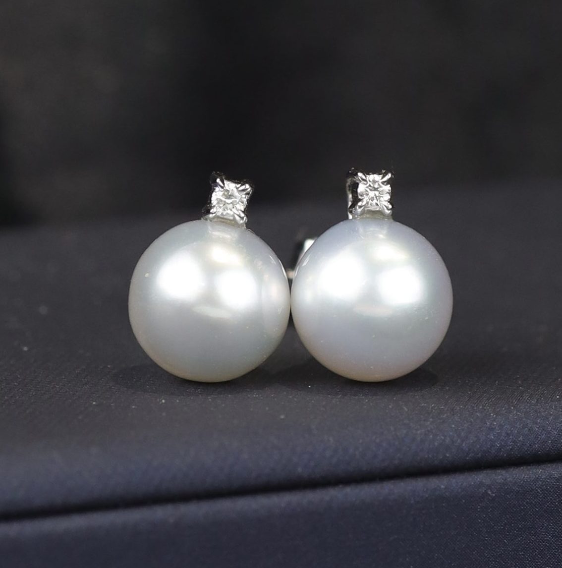 8.8mm South Sea Pearl w/ .04 CTW Diamond Stud Earrings 14K White Gold E0186-1-WG