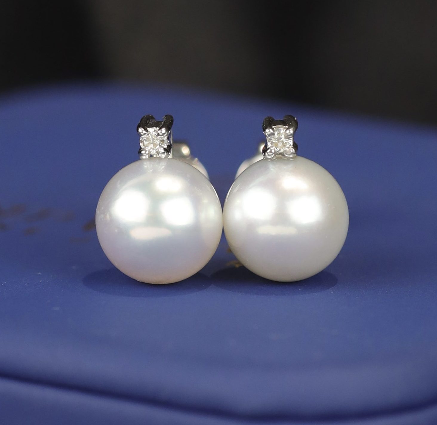 8.9mm&8.8mm South Sea Pearl w/ .04 CTW Diamond Stud Earrings 14K White Gold E0186-WG