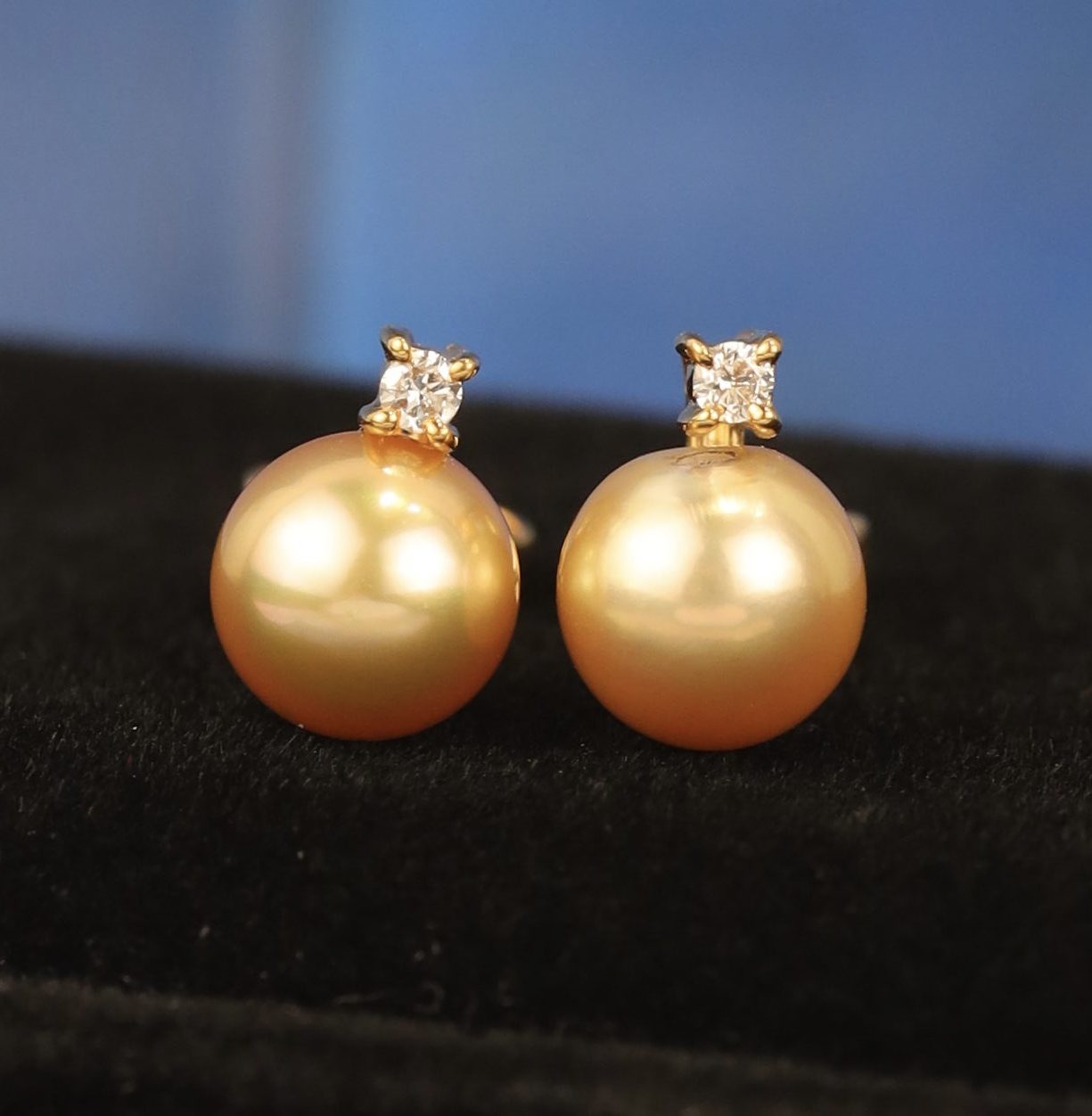 7.1mm South Sea Pearl w/ ..05 CTW Diamond Stud Earrings 18K Yellow Gold E0192-YG